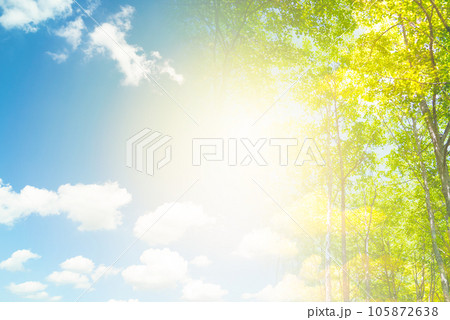 Image photo Image photo 105872638