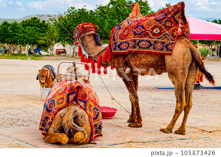 Unique natural place in Cappadocia - Valley of...の写真素材 [105873426] - PIXTA
