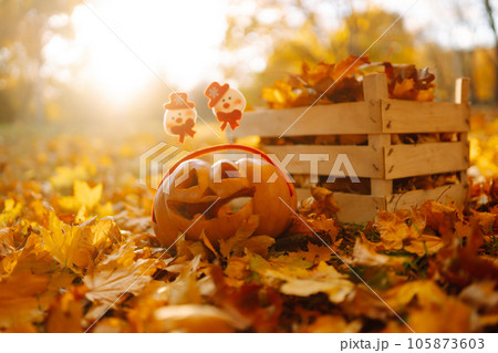 Halloween pumpkins on the autumn street. Holidays, decoration concept. 105873603