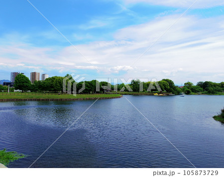江津湖(熊本県熊本市) 105873729