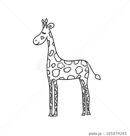 Funny vector illustration of giraffe 105874293