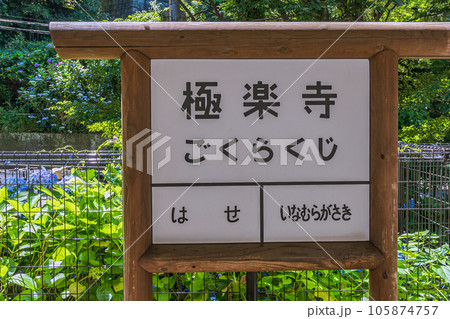 江ノ電、紫陽花　極楽寺　鎌倉 105874757