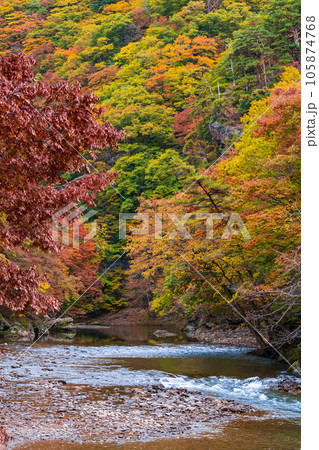 湯瀬渓谷(秋) 湯瀬渓谷(秋) 105874768