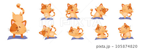 Ginger Cat with Striped Tail Doing Yoga Standing in Asana Vector Set 105874820