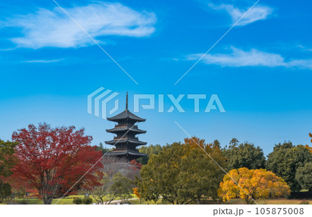 備中国分寺と晩秋の晴れた空7　岡山県総社市 105875008