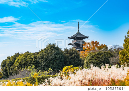 備中国分寺と晩秋の晴れた空13 岡山県総社市 備中国分寺と晩秋の晴れた空13 岡山県総社市 105875014