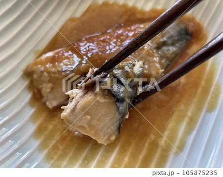サバの味噌煮 青魚の甘辛い和食の煮付け サバの味噌煮 青魚の甘辛い和食の煮付け 105875235