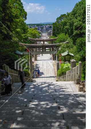 光の道ができる福岡県福津市の宮地嶽神社参道 105877011