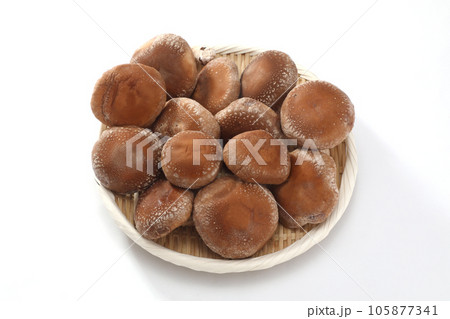 生椎茸 生椎茸 105877341