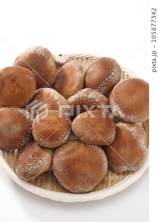 生椎茸 生椎茸 105877342