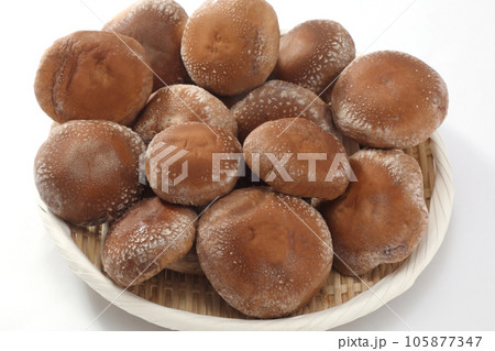 生椎茸 生椎茸 105877347