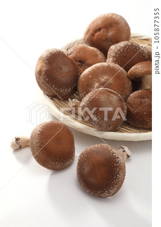 生椎茸 生椎茸 105877355