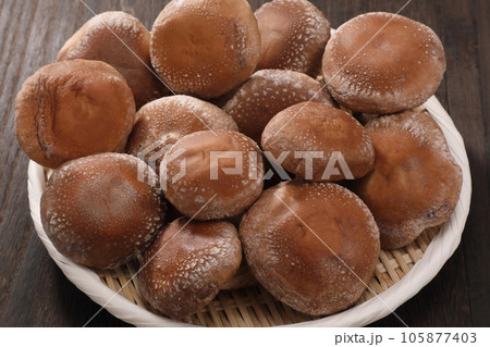 生椎茸 生椎茸 105877403