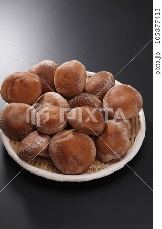 生椎茸 生椎茸 105877413