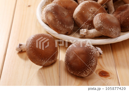 生椎茸 生椎茸 105877420