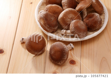 生椎茸 生椎茸 105877421