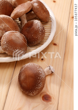 生椎茸 生椎茸 105877437