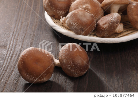 生椎茸 生椎茸 105877464