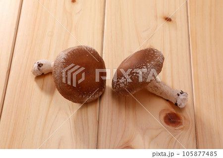 生椎茸 生椎茸 105877485