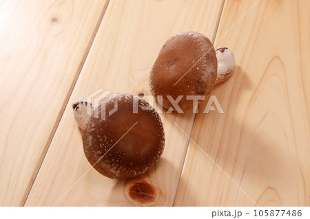 生椎茸 105877486