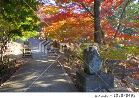 最上山公園(さいじょうさんこうえん)、もみじ山の紅葉/兵庫県宍粟市山崎町 最上山公園(さいじょうさんこうえん)、もみじ山の紅葉/兵庫県宍粟市山崎町 105878495