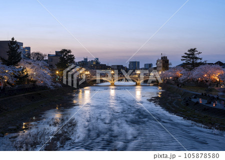 金沢のさくら名所・浅野川河畔の夜桜 105878580