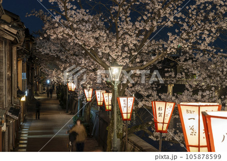 金沢のさくら名所・主計町茶屋街の夜桜 金沢のさくら名所・主計町茶屋街の夜桜 105878599