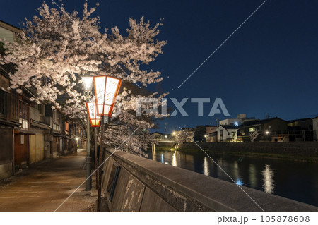 金沢のさくら名所・主計町茶屋街の夜桜 105878608