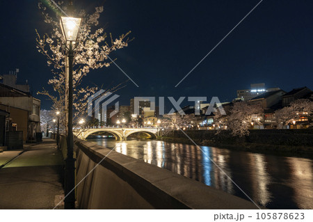 金沢のさくら名所・主計町茶屋街界隈の夜桜とライトアップされた浅野川大橋 105878623