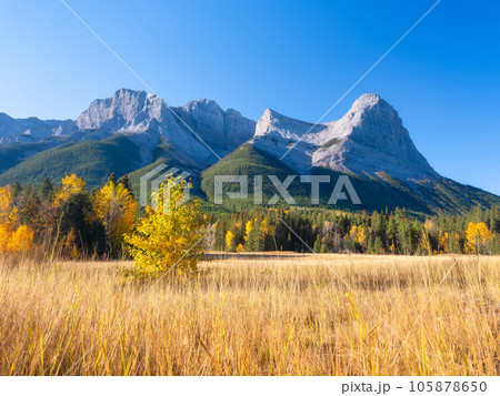 High rocky mountains. Banff National Park, Alberta, Canada. 105878650