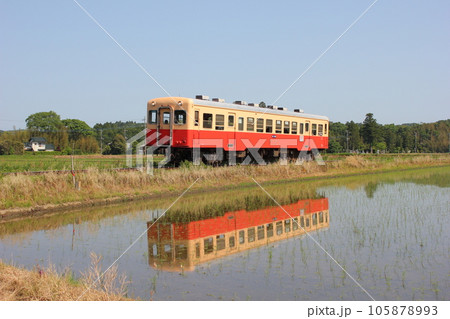 小湊鉄道 キハ208 小湊鉄道 キハ208 105878993