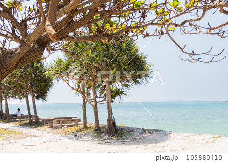 海の見える場所 105880410