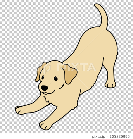 遊びに誘うシンプルで可愛いラブラドールのイラスト　主線あり 105880996