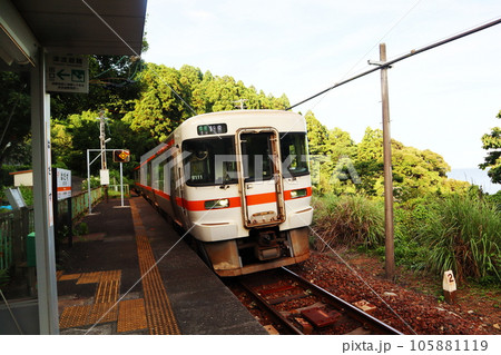 JR紀勢本線・波田須駅を通過する列車 105881119