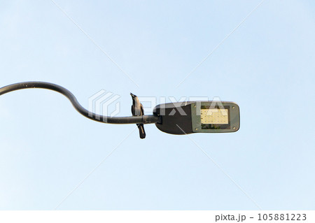 Thailand crow black sit on lamp post or perched on lightbulb in public girl to find prey to eat as food widely distributed in Asia. Blue sky, bright sunlight as background in natural light. 105881223