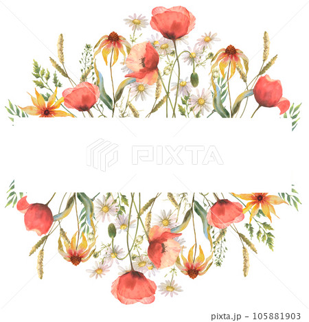 Watercolor wild flower frame, red poppies, field herb and chamomile, isolated on white background. Good for cosmetics, medicine, treating, aromatherapy, nursing, package, postcards 105881903