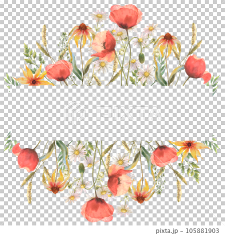 Watercolor wild flower frame, red poppies, field herb and chamomile, isolated on white background. Good for cosmetics, medicine, treating, aromatherapy, nursing, package, postcards 105881903
