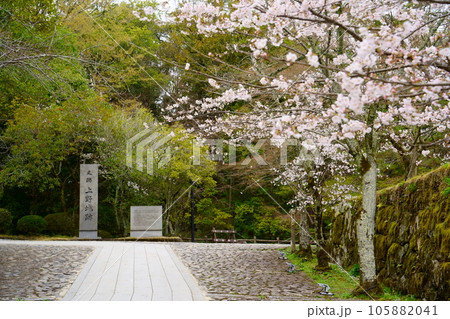 満開の桜と伊賀上野城跡（三重県伊賀市） 105882041