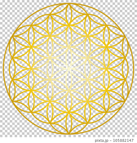 金色生命之花神聖幾何插畫 105882147