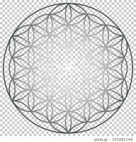 銀色フラワーオブライフの神聖幾何学模様のイラスト 銀色フラワーオブライフの神聖幾何学模様のイラスト 105882148