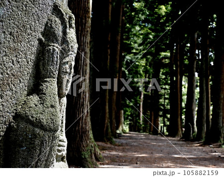 立山寺の参道 立山寺の参道 105882159