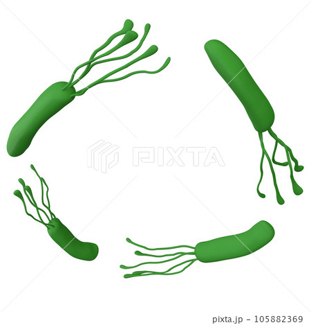 Helicobacter pylori bacteria 3d render realistic frame with place for text. isolated with clipping path. Microbiology health human illustration Helicobacter pylori bacteria 3d render realistic frame with place for text. isolated with clipping path. Microbiology health human illustration 105882369