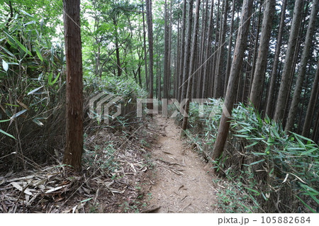 2023年8月の埼玉県飯能の棒ノ折山の登山 2023年8月の埼玉県飯能の棒ノ折山の登山 105882684