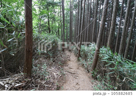 2023年8月の埼玉県飯能の棒ノ折山の登山 2023年8月の埼玉県飯能の棒ノ折山の登山 105882685