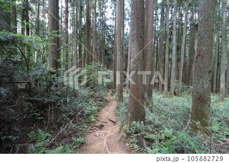 2023年8月の埼玉県飯能の棒ノ折山の登山 2023年8月の埼玉県飯能の棒ノ折山の登山 105882729