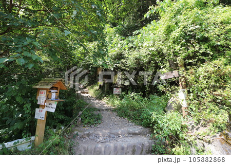 2023年8月の埼玉県飯能の棒ノ折山の登山 105882868