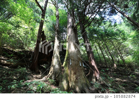 2023年8月の埼玉県飯能の棒ノ折山の登山 105882874