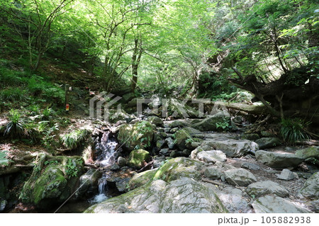 2023年8月の埼玉県飯能の棒ノ折山の登山 105882938