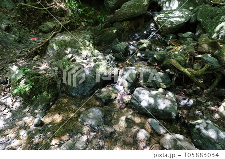 2023年8月の埼玉県飯能の棒ノ折山の登山 105883034