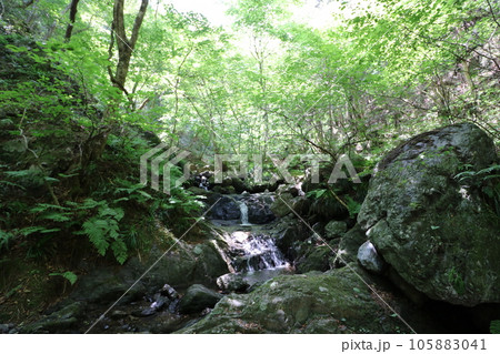2023年8月の埼玉県飯能の棒ノ折山の登山 105883041
